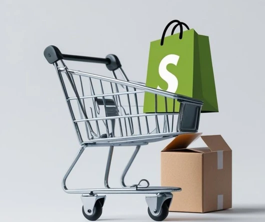 How Does Shopify Accelerate E-Export?