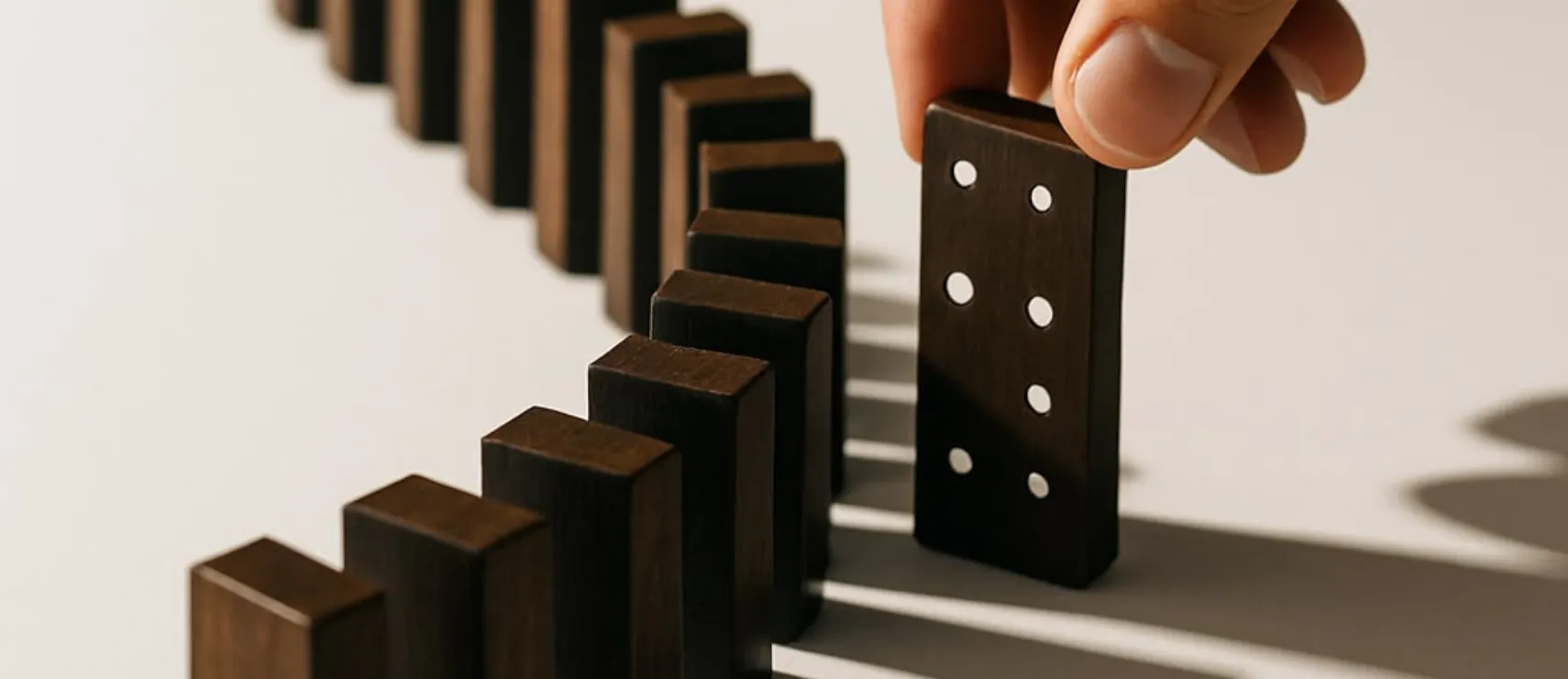 Why Do Brands Look Alike?